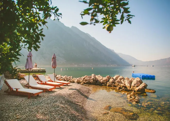 Kotor Dog Friendly Hotels